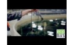 Recirculation Systems for Aquaculture (RAS) with FFAZ Automatic Feeding Systems by ECO-RAS  Video