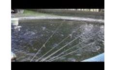 FFAZ Automatic Fish Feeder Video