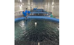 FFAZ feeding system aquaculture RAS indoor