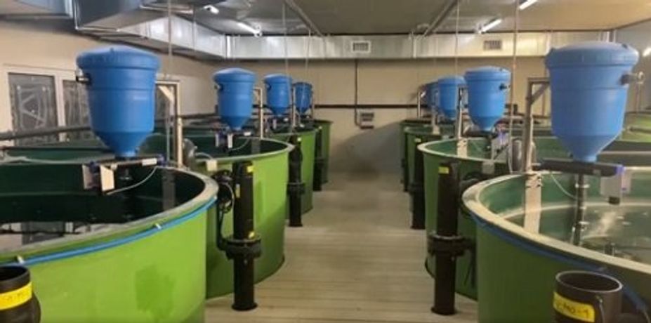 Automatic Fish Feeders-3