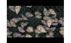 Zapco Aquaculture Tumbler Video