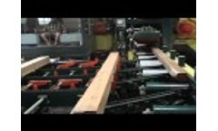 McDonough Horizontal resaw with MAXX infeed. Video