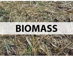 Characteristics of Biomass and Biomass Ash