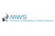 MWS Ltd