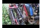 Koolrooier - Cabbage harvester - Arracheuse de choux-Video