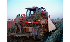 Vanhoucke - Standard Leek Harvester