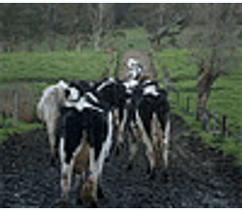 Air emissions of ammonia and methane from livestock operations: Valuation and policy options