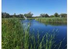 Environmental - Wetland Assessment