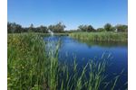 Environmental - Wetland Assessment