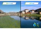 Environmental - Storm Retention Pond Remediation