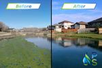 Environmental  - Storm Retention Pond Remediation