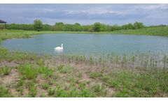 Environmental - Large Dugout Pond Remediation