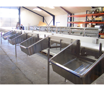 Grading Fish for Land Based Fish Processing