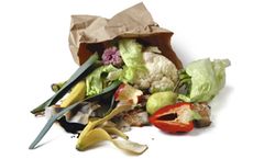Waste compaction for the depackaging systems for food waste industry