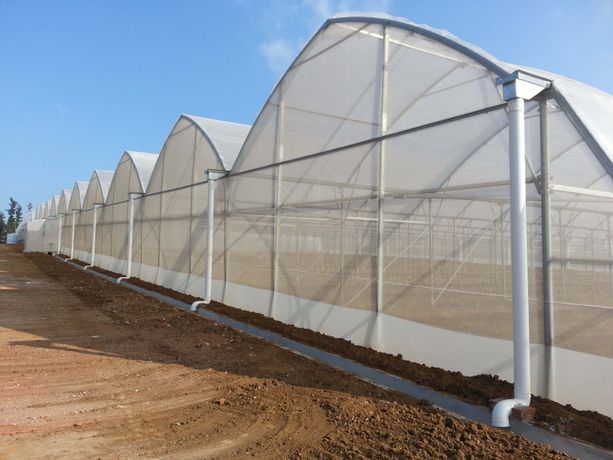 Greenhouses-3