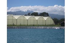 Azrom Coral Emerald - Greenhouses