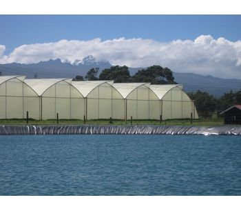 Azrom Coral Emerald - Greenhouses