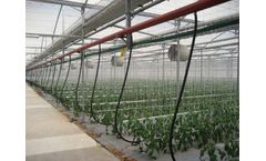 Agro Vision - Plant Support Systems