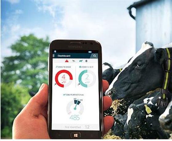 SCR - Version HealthyCow24 - Enhanced Management Portal and Mobile App