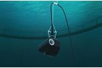 Steinsvik - Model Orbit Series - Underwater Cameras for Fish Farms