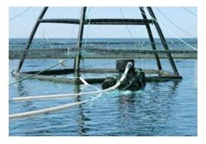 Steinsvik - Aquaculture Subfeeder