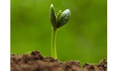 Regenerating Soil for Over 35 Years - Happy Earth Day