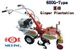 Model 650 G - Ginger Plantation