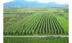 Micro-irrigation systems for tree crops