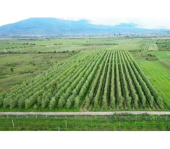 Micro-irrigation systems for tree crops - Agriculture