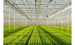 Micro-irrigation systems for greenhouse