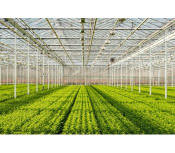 Micro-irrigation systems for greenhouse - Agriculture