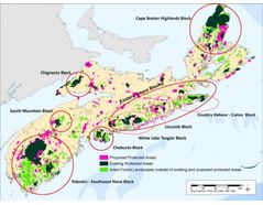New mapping technology: Nova Scotia’s powerful ally in protecting valuable forests