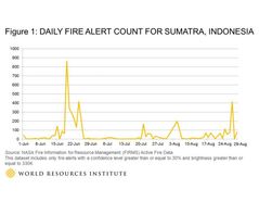 Indonesia Burning: Forest fires flare to alarming levels