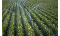 Identifying sustainable solutions for agricultural water useage