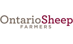 Ontario Sheep Health Program Services