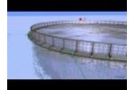Fish Farming System in 3D Video