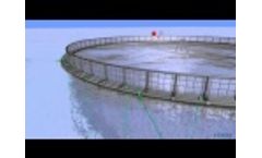 Fish Farming System in 3D Video