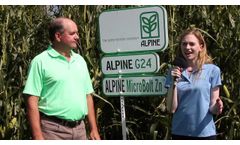 Spotlight on Alpine - Starter Fertilizer - Datasheet