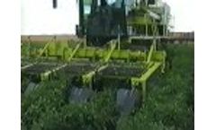 Boese Pepper Harvester - Video
