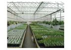GGS - Widespan Greenhouses