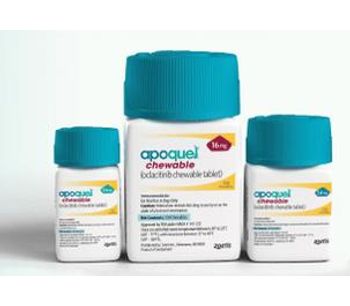 Apoquel - Oclacitinib - Oclacitinib Chewable Tablet