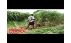 MAAX Brush / Weed Cutter (Best in Class) - Video