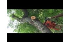 MAAX Chainsaw(For Cutting Big Trees Easily) - Video