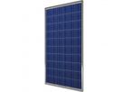 Model 250 Wp - Polycrystalline Photovoltaic Modules