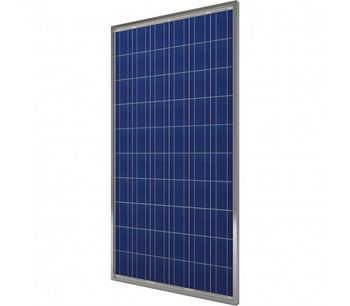 Model 250 Wp - Polycrystalline Photovoltaic Modules