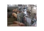 Insentec CompuFeeder - Group Pig Housing Systems