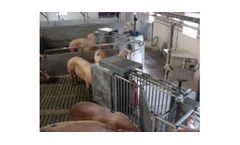 Insentec CompuFeeder - Group Pig Housing Systems