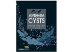 BernAqua - Artemia Cysts