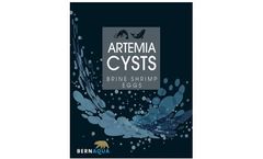 BernAqua - Artemia Cysts
