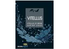 Vitellus - Exclusively Composed Artemia Cysts